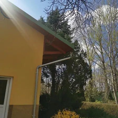 Podlovics Tanya Panzio