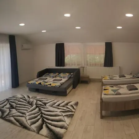 Podlovics Tanya Panzio *