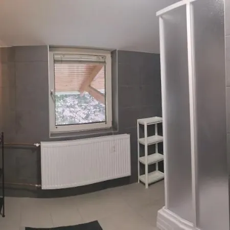 Podlovics Tanya Panzio Apartment *
