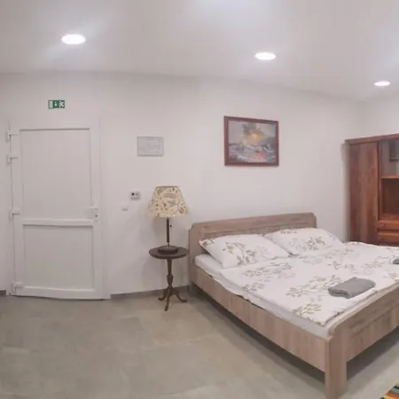 Podlovics Tanya Panzio Appartement *